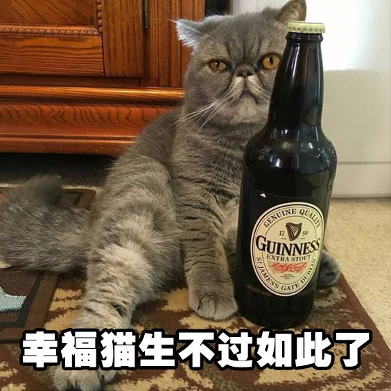 最新猫猫喝酒表情包