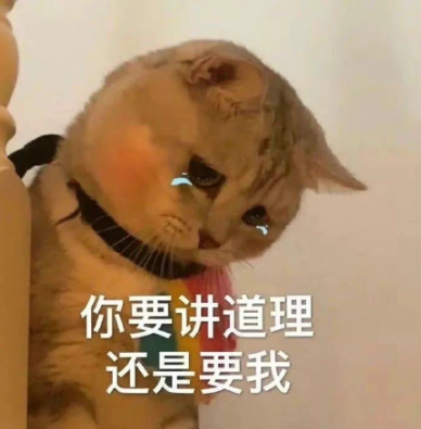 20230526 #斗图大事件# 猫猫哭哭